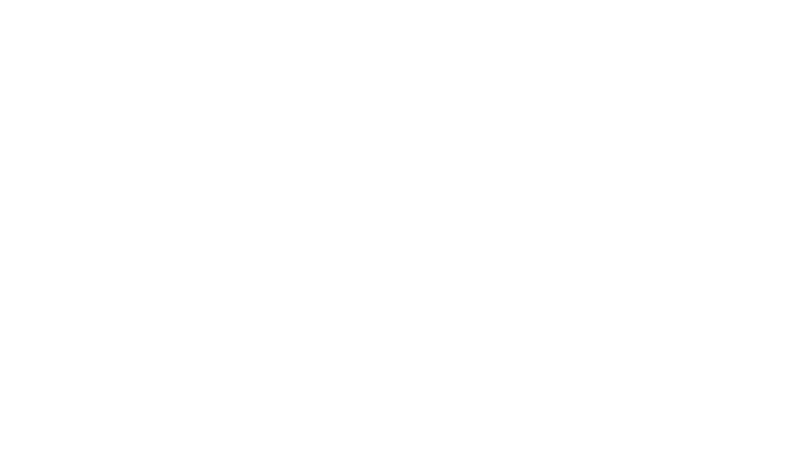 MERISI Group reference